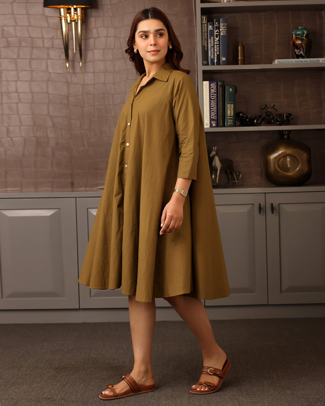 Basic Brown Poplin Shirt Dress