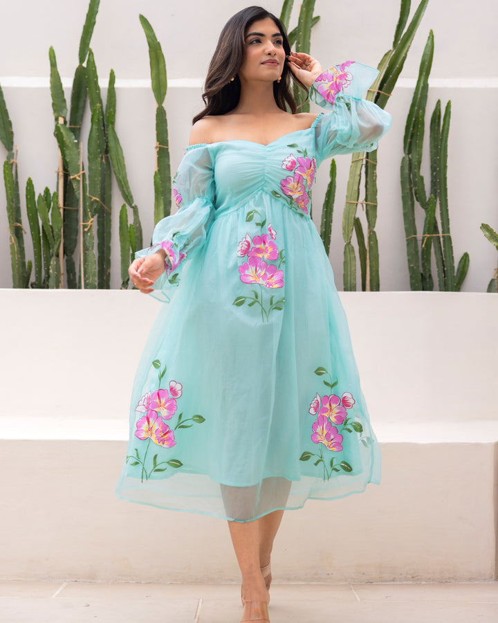 Sky Blue Organza Floral Dress