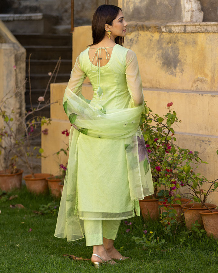 Mint Green Organza Aarohi Handpainted Suit Set, Back Side View