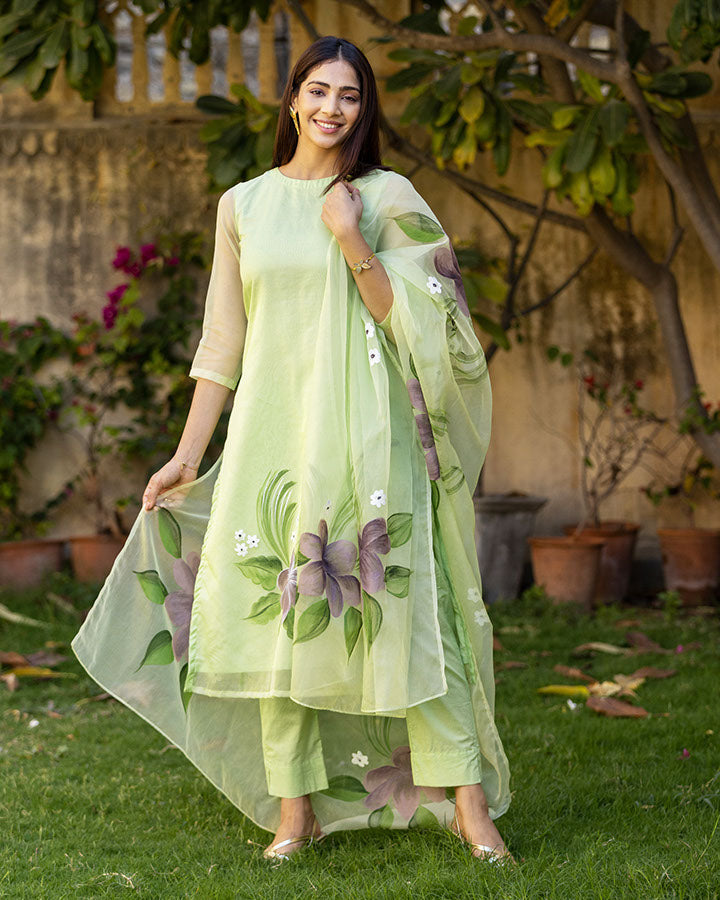 Mint Green Handpainted Organza Aarohi Suit Set