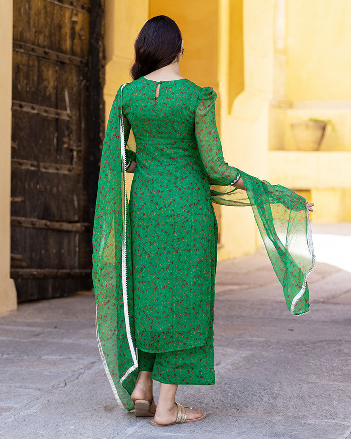 Green Chiffon Akila Chiffon Suit Set, Back Side View