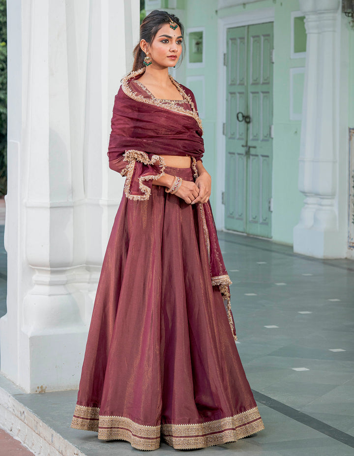 Wine Kalidaar Tissue Lehenga Set