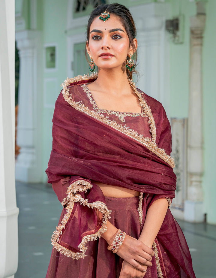 Wine Kalidaar Tissue Lehenga Set