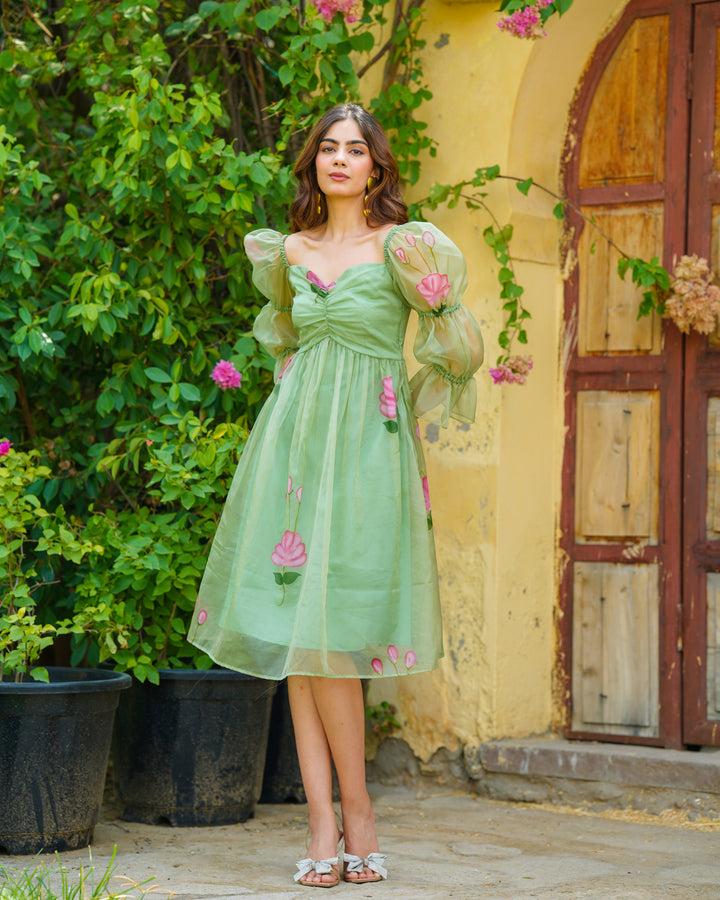 Handpainted Organza Pista Dress