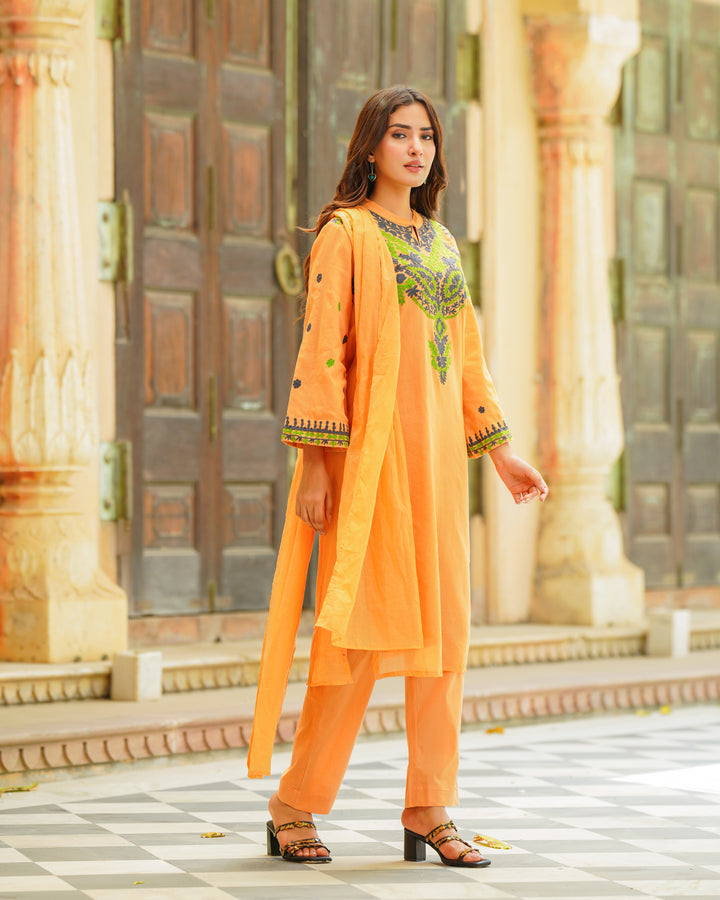 Rust Embroidered Suit Set