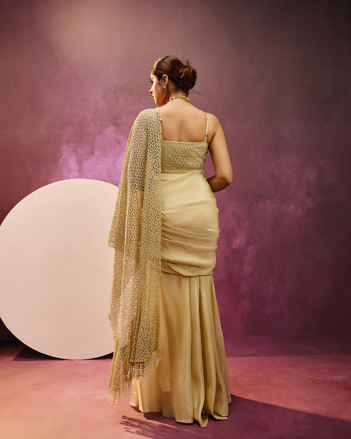 Drape me in Gold Saree