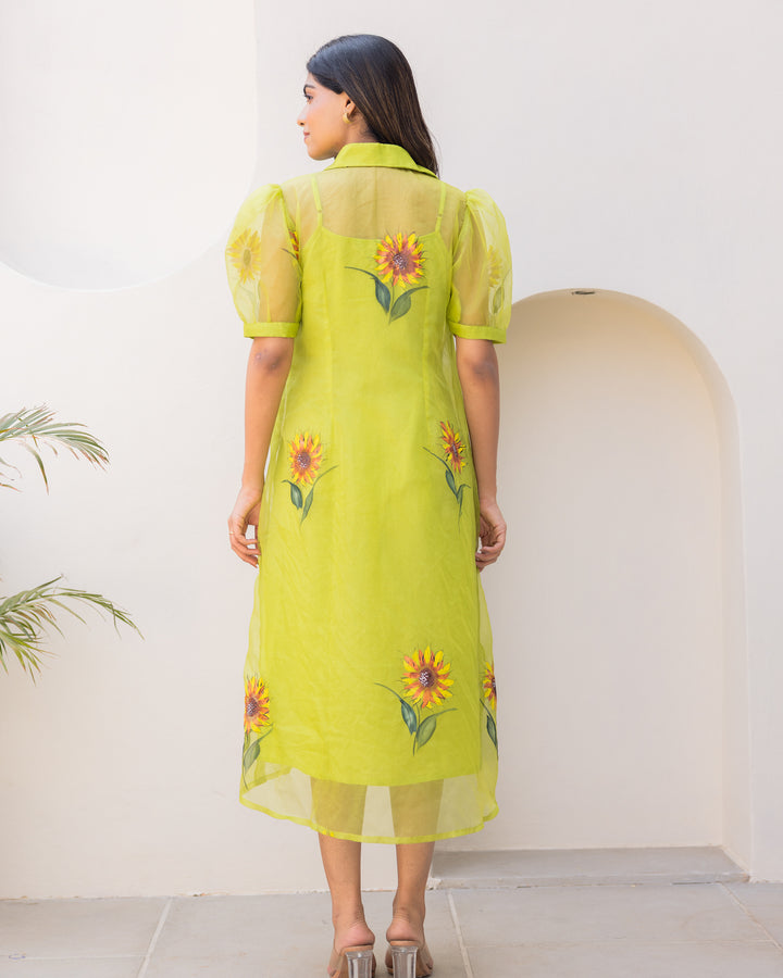 Lime Organza Shirt Dress