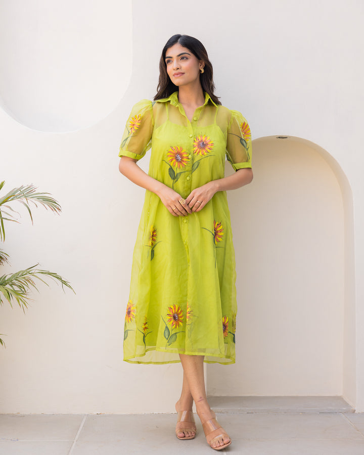 Lime Organza Shirt Dress
