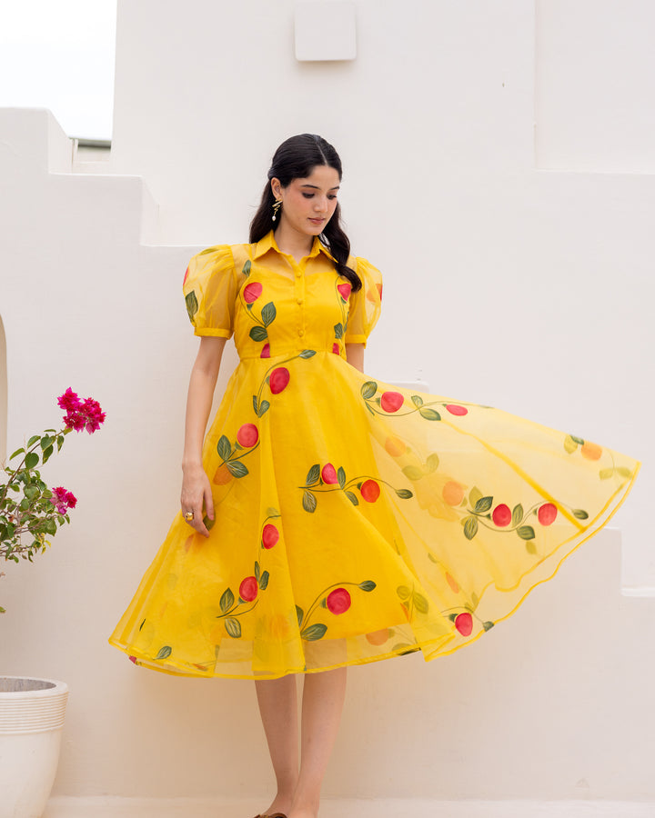 Mustard Organza Floral Dress