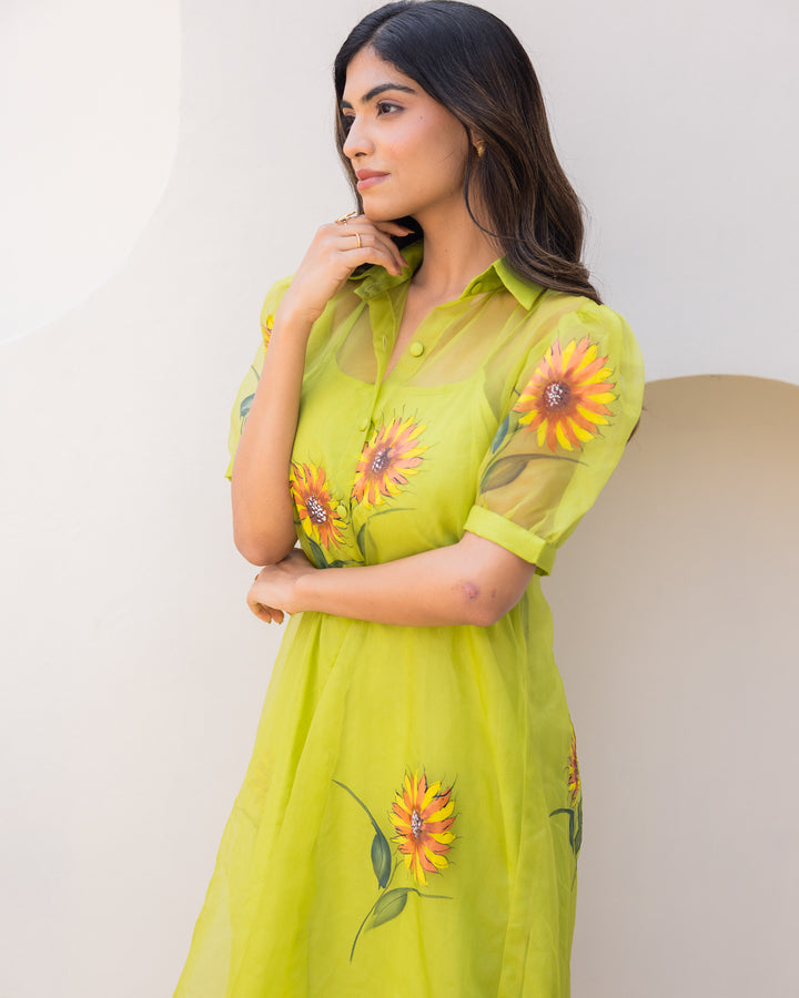 Lime Organza Shirt Dress