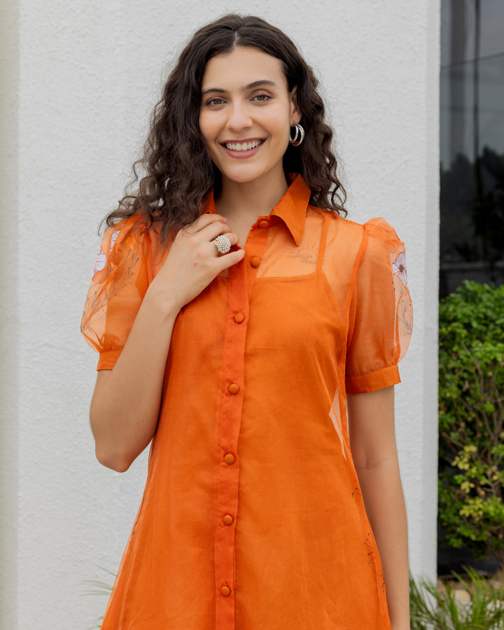 Brown Organza Shirt Dress
