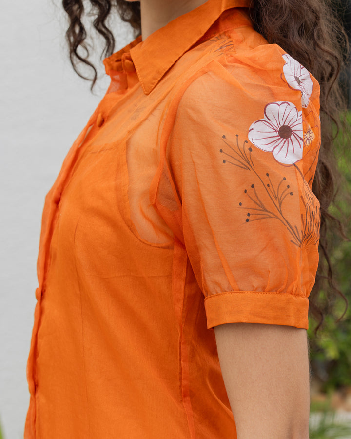 Brown Organza Shirt Dress