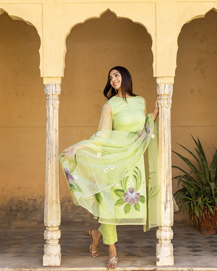 Aarohi handpainted suit set on luxurious mint green organza